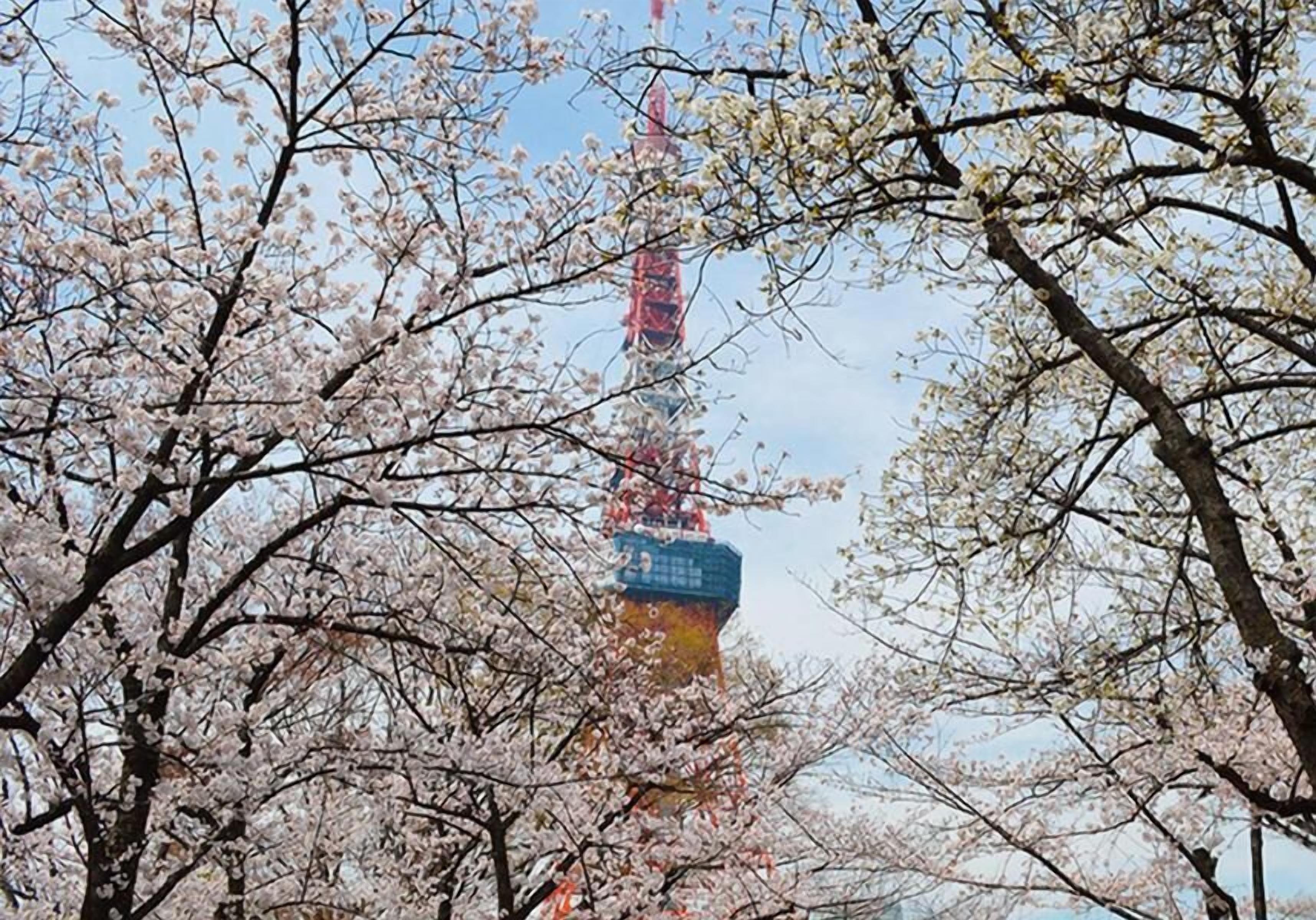 Tokyo Tower View Guest House — Bilder 1